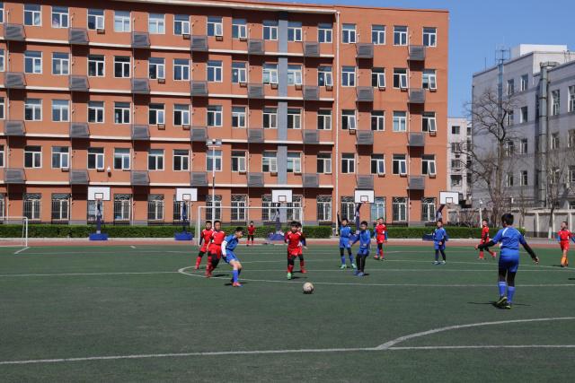 媒体人谈杨舒予热搜第1:体育饭圈化成行业现象